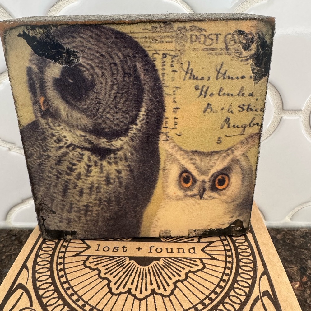 Vintage Owl Decorative Wall Art